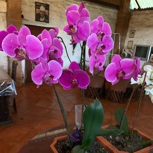 Meet your Posher, Tania